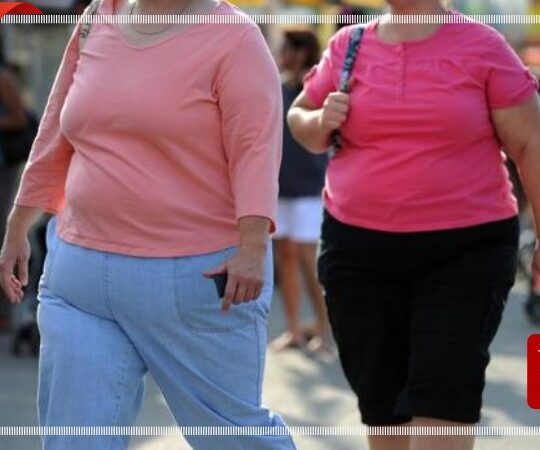 दुनिया भर में मोटापे की दर बढ़ रही है: लैंसेट अध्ययन