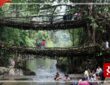 Meghalaya-Living-Root-Bridge