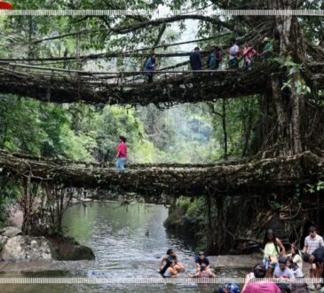 Meghalaya-Living-Root-Bridge