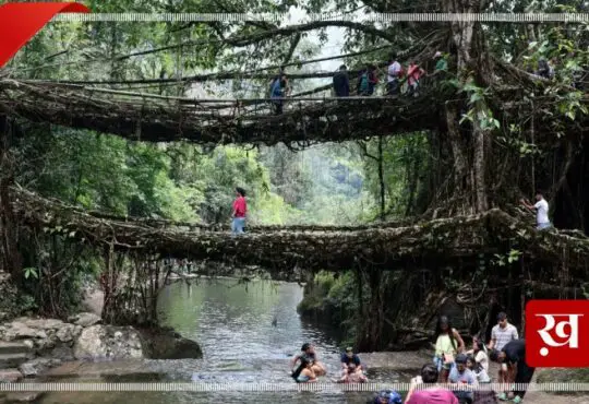 Meghalaya-Living-Root-Bridge