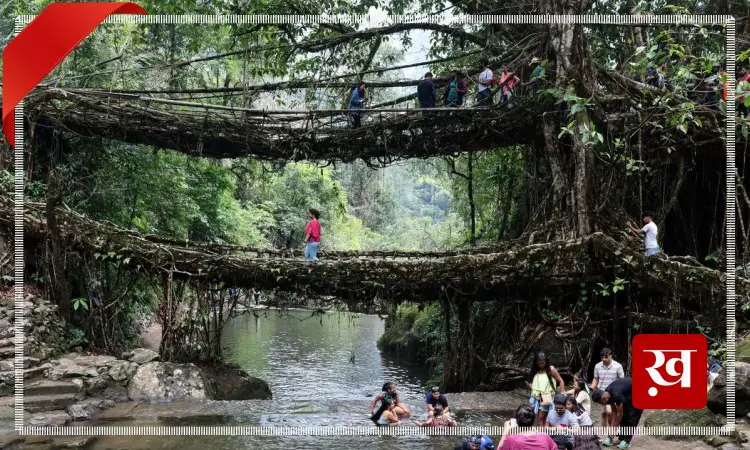 Meghalaya-Living-Root-Bridge