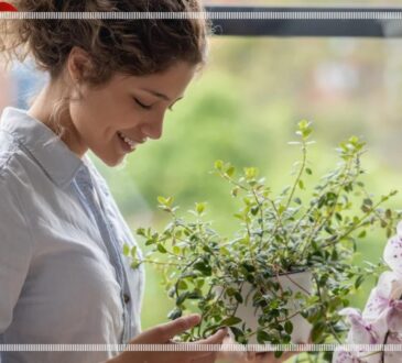 Talking to Flowers